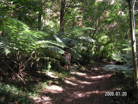gallery_1786_3222_45679.jpg