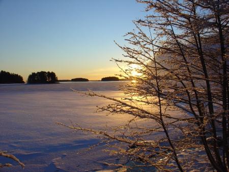 gallery_4755_3221_115674.jpg