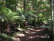 tn_gallery_1786_3222_45679.jpg
