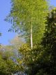 tn_gallery_1786_3222_46633.jpg