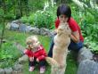 tn_gallery_4755_3217_147783.jpg