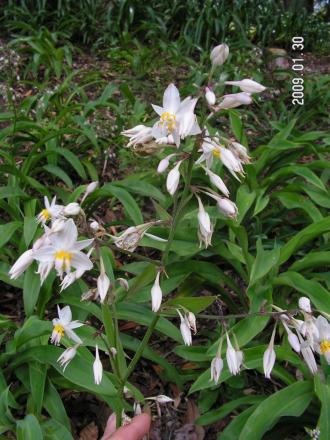 gallery_1786_3222_120555.jpg