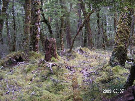 gallery_1786_3222_123570.jpg