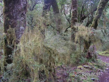 gallery_1786_3222_237629.jpg