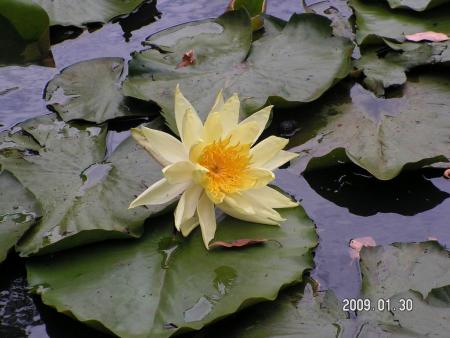 gallery_1786_3222_49245.jpg