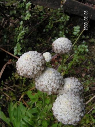 gallery_1786_3222_57539.jpg
