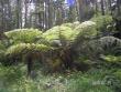 tn_gallery_1786_3222_9163.jpg
