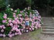 tn_gallery_1786_3222_97479.jpg