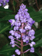 tn_gallery_362_3227_104619.gif