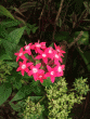 tn_gallery_362_3227_115523.gif