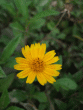 tn_gallery_362_3227_121676.gif