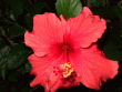 tn_gallery_362_3227_12334.gif