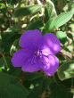 tn_gallery_362_3227_130058.gif