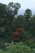 tn_gallery_362_3227_136393.gif