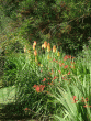 tn_gallery_362_3227_153887.gif