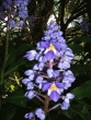 tn_gallery_362_3227_16367.gif
