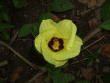 tn_gallery_362_3227_16431.gif