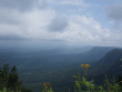 tn_gallery_362_3227_31390.gif