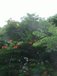 tn_gallery_362_3227_43894.gif