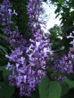 tn_gallery_362_3227_53494.gif