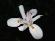 tn_gallery_362_3227_58608.gif