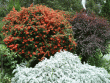 tn_gallery_362_3227_8293.gif