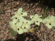 tn_gallery_362_3227_87163.gif