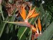 tn_gallery_362_3227_87404.gif