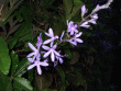 tn_gallery_362_3227_9354.gif