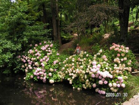 gallery_1786_3222_135825.jpg