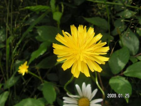 gallery_1786_3222_34994.jpg