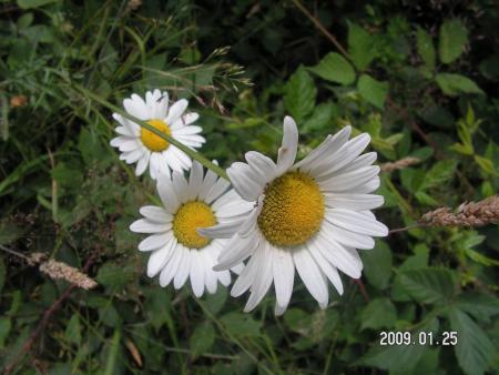 gallery_1786_3222_93413.jpg
