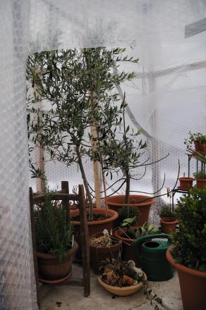 gallery_4207_2041_145761.jpg