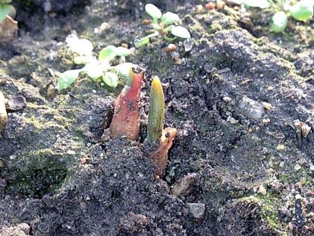 gallery_9179_3149_168592.jpg