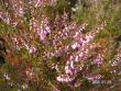 tn_gallery_1786_3222_20053.jpg