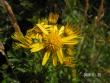 tn_gallery_1786_3222_53477.jpg