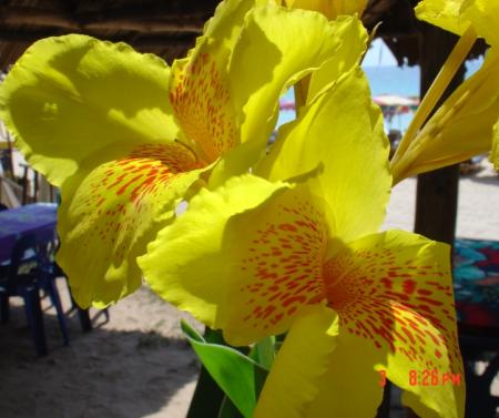 gallery_4755_3230_151610.jpg