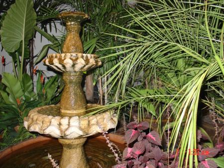 gallery_4755_3230_188134.jpg