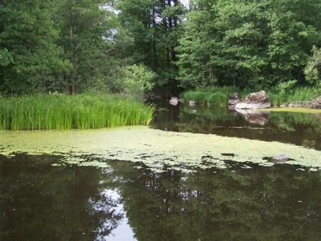 gallery_7606_3232_13543.jpg