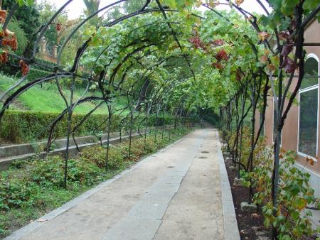 gallery_4755_3230_125479.jpg