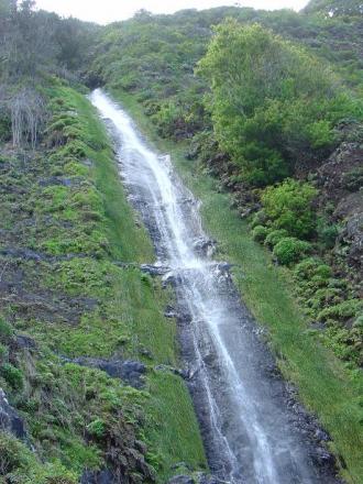 gallery_4755_3230_32849.jpg