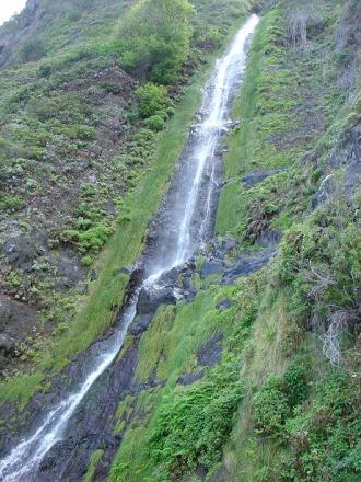 gallery_4755_3230_82364.jpg