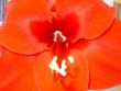 tn_gallery_4755_3236_61373.jpg