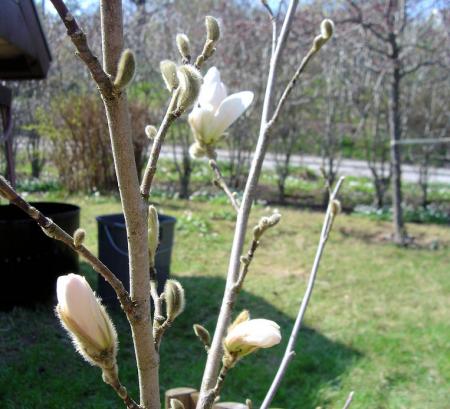 gallery_13523_3241_13673.jpg