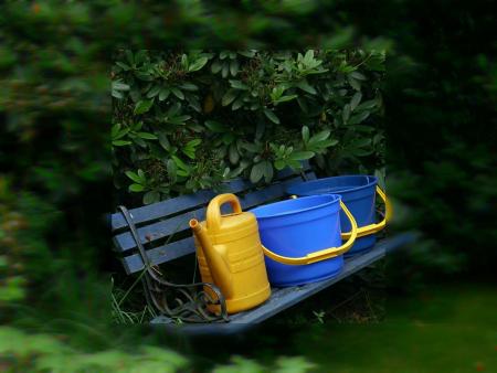 gallery_13523_3241_53800.jpg