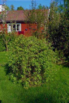 gallery_13523_3242_100070.jpg