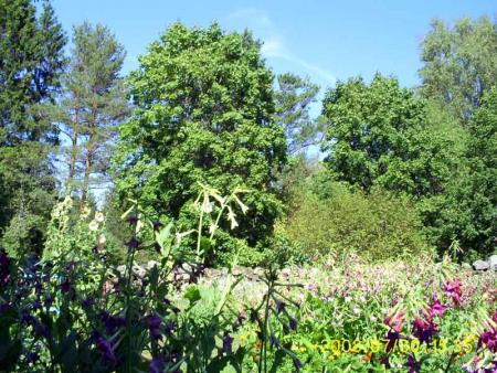 gallery_17660_2797_14148.jpg