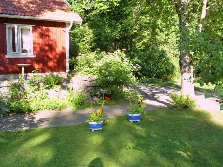 gallery_17660_2797_53076.jpg