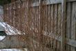 tn_gallery_10628_3218_131557.jpg