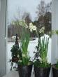 tn_gallery_4755_3236_192548.jpg